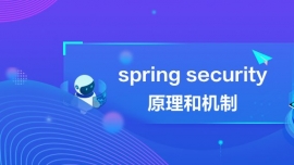 spring securityԭ͙C