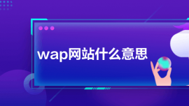 wapW(wng)վʲô˼