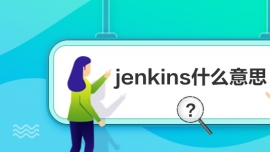 jenkinsʲô˼