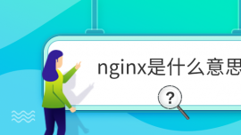 nginxʲô˼