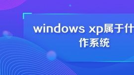 windows xpʲôϵy(tng)